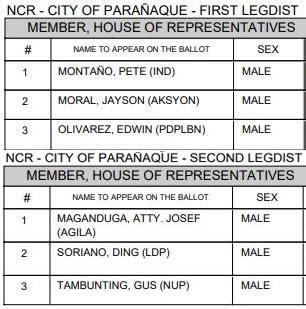 Paranaque Councilors, Mayor, Vice Mayor, Congressmen.